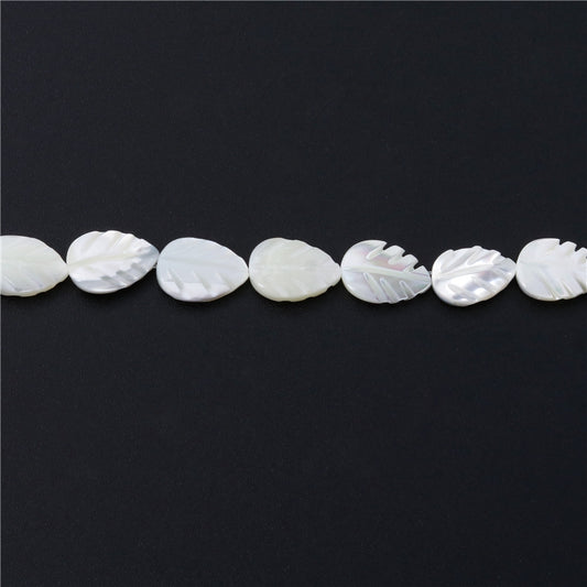 Perles de nacre naturelle en forme de feuille, en forme de feuille, trou de 10x14mm, environ 29 pièces, sur fil de 39cm